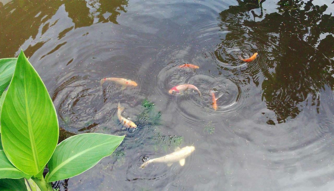 Yesterday Sathon Bangkok Eksteriør billede